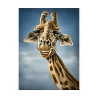 Трговска марка ликовна уметност „Giraffe totem“ платно уметност од Патрик Ламонтањ