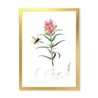 Дизајн на „Антички инсекти и растенија I“, Фарма куќа врамена уметничка печатење