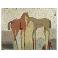 Уметнички галерија со ремек -дело Нежни шепоти коњи од Циела Блум Канвас Арт Печати 30 40